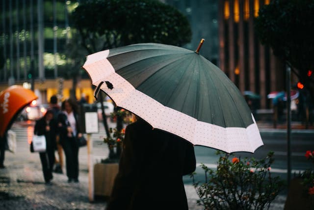 Umbrella Insurance